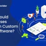 Businesses Invest In Custom CRM Software - Nocodeprovider