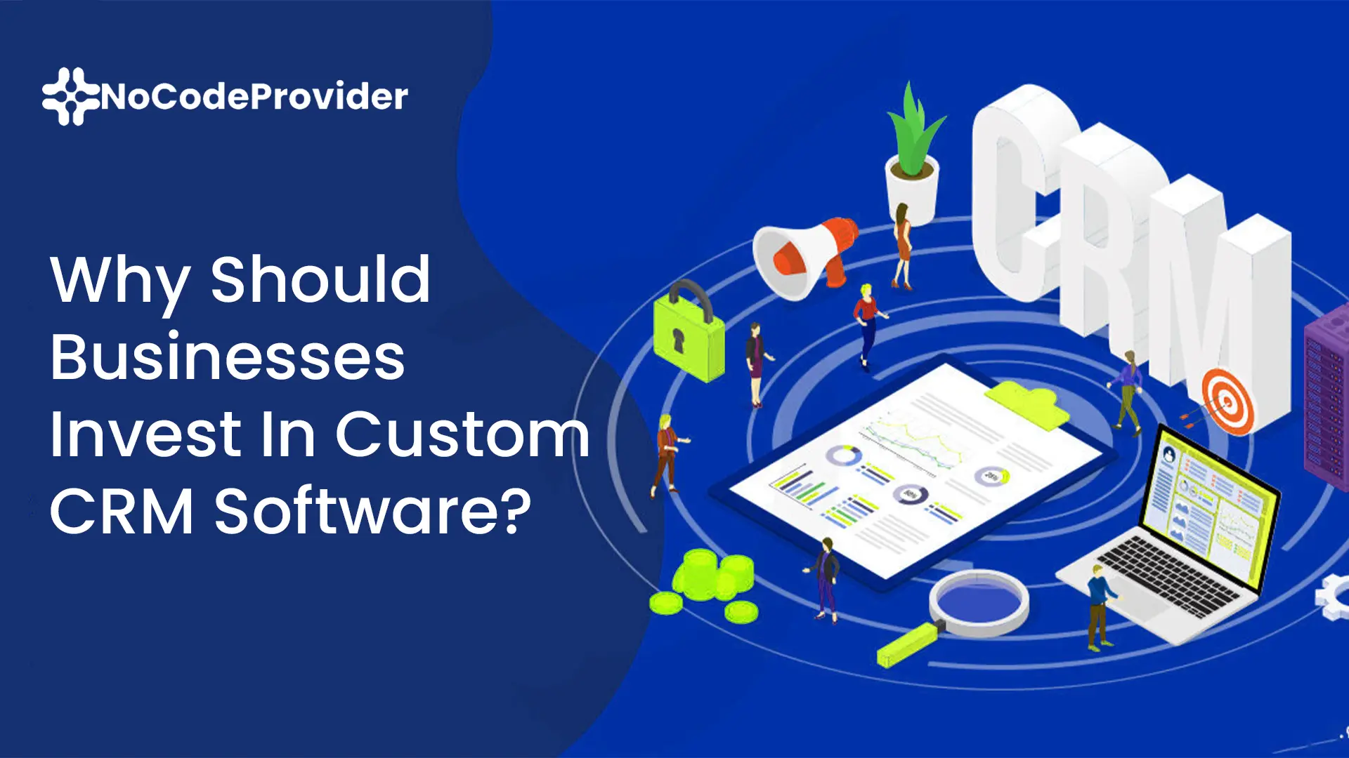 Businesses Invest In Custom CRM Software - Nocodeprovider